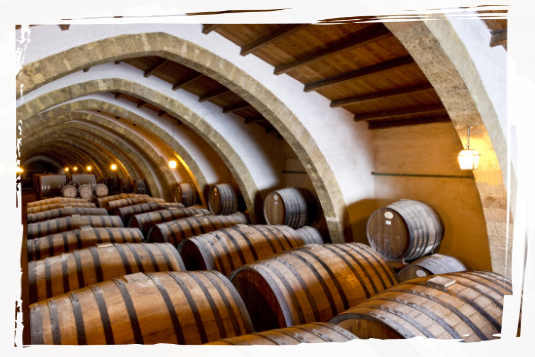 sicily wine tasting , visita cantine vinicole Sicilia (whatsapp) +39 3209254108